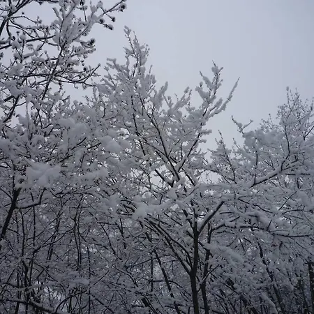 La Casa Di Chiara * Marmora