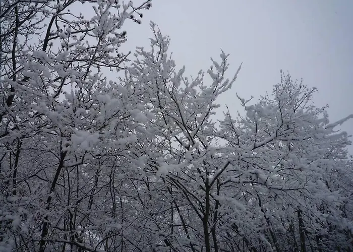 La Casa Di Chiara * Marmora